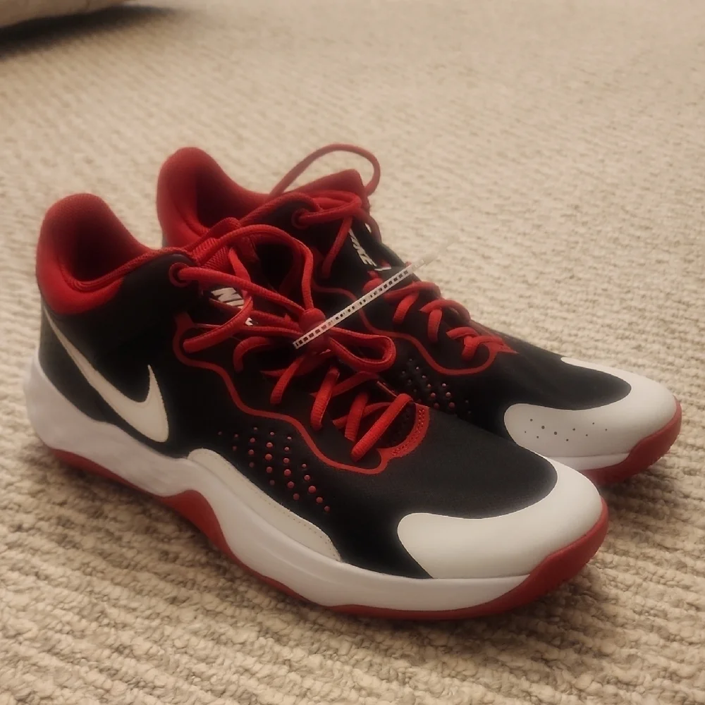 NIKE Fly By Mid 3 Size 14
